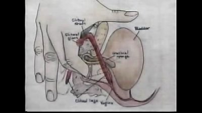 Sex Education Orgasm Training Video