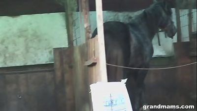 elderly farmer wife takes the firm manstick in the backyard